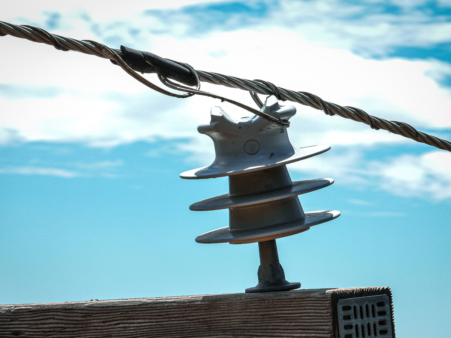 Closeup of an electrical asset caught on an electrical wire