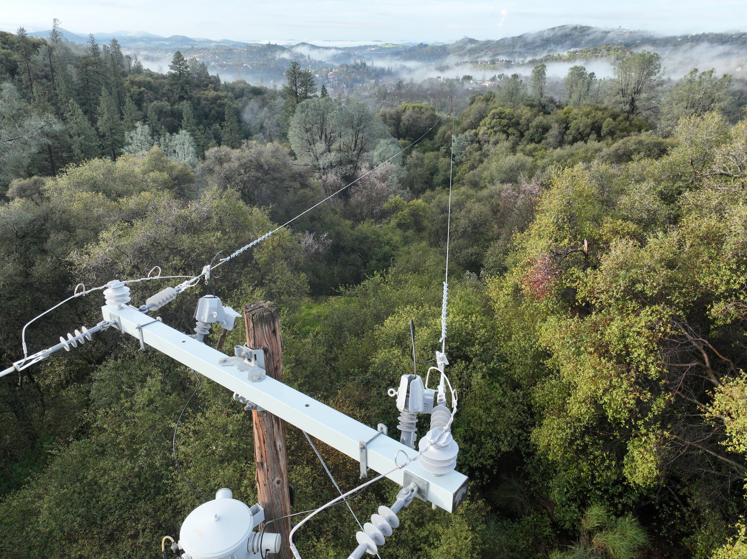Power line structure with transformers against a forested background