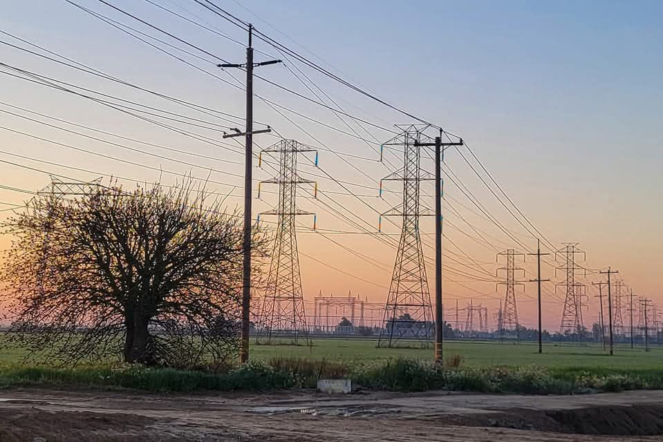 Power lines and pylons against a sunset sky with a tree in the foreground.